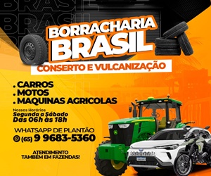 BORRACHARIA BRASIL