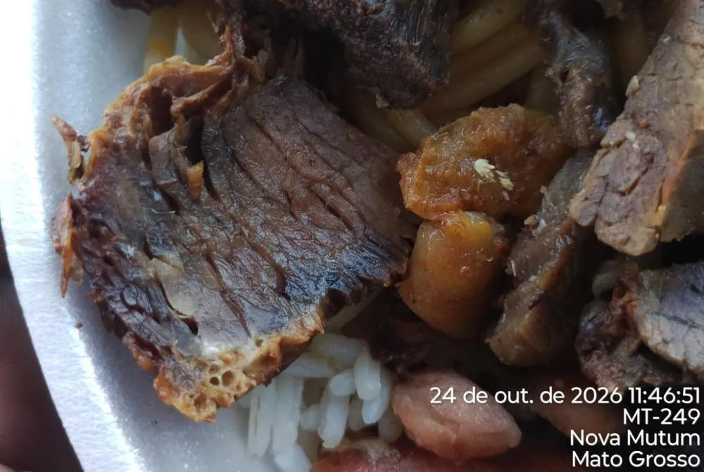 Trabalhador presencia supostos ovos de moscas em marmitas de churrascaria em Nova Mutum/MT